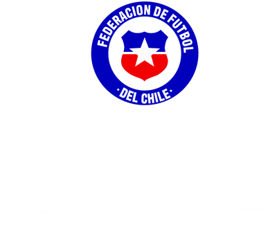 Chile Chilean Flag Soccer Futbol Toddler Hoodie