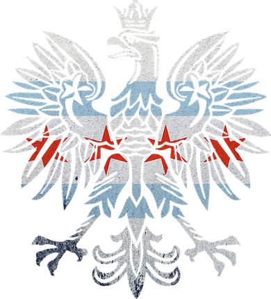 Cool Chicago Flag Polish Eagle Funny Illinois Emblem Women's Tank Top