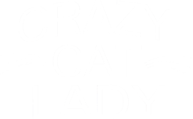 Crazy Cat Lady Whiskers Kids Sweatshirt