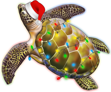 Cute Christmas Lights Santa Sea Turtle Women's Long Sleeve Shirt