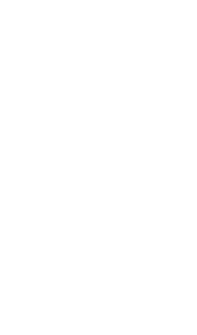 Crazy Cat Lady Kids Sweatshirt