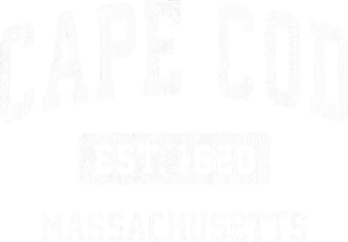 Cape Cod Massachusetts Ma Vintage Sports 11oz C Handle Ceramic Mug