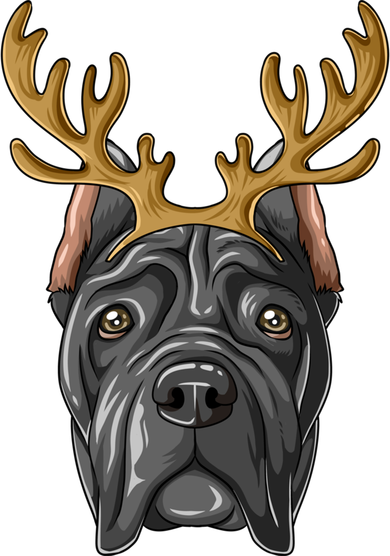 Cane Corso Reindeer Antlers Christmas Cane Corso Gift Women's Long Sleeve Shirt