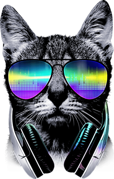 Cool Cat With Sunglasses DJ Retro Style Meme Baby Bodysuit