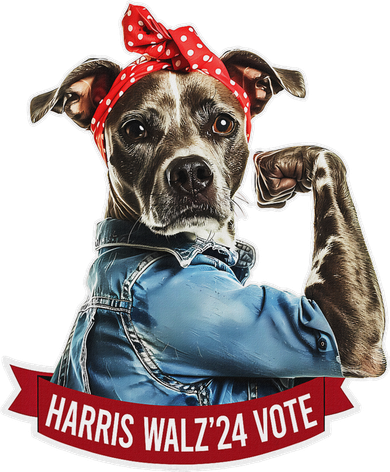 Childless Dog Lady Kamala Harris Tim Walz Vote Election Coaster