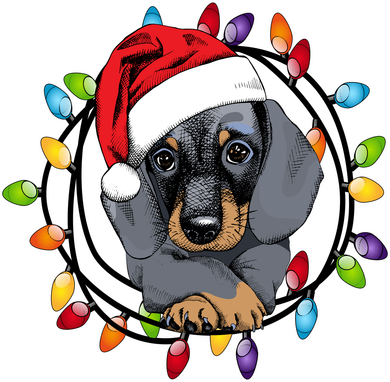 Christmas Dachshund Lights Women's Long Sleeve Shirt