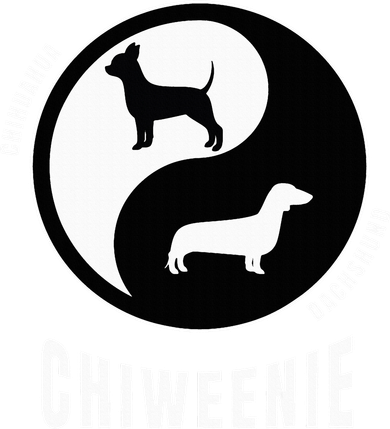 Chiweenie Dog Lovers Breeders Gift Pet Chiweenie Bucket Hat