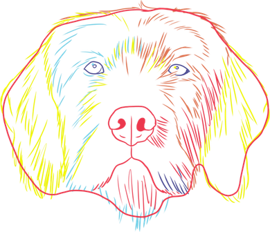 Colourful Dog Pudelpointer Funny Gift Kids Sweatshirt