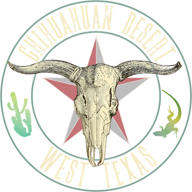 Chihuahuan Desert West Texas Cow Skull Lizard Cactus Star Gift Kids Hoodie