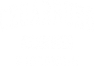 Cedarburg Est 1845 Wisconsin Wi Vintage Sports Established Design Backpack