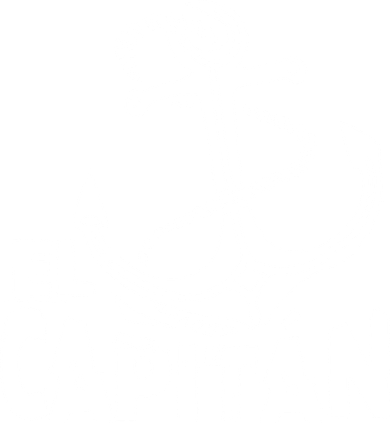 Captain El Capitan Coaster