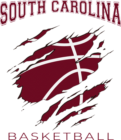 Carolinas Fan Apparel Hoops Gear South Carolina Basketball Button