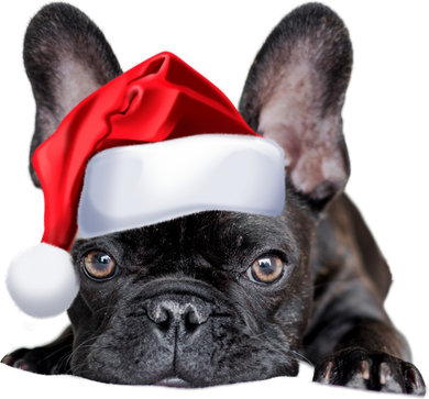 Cute French Bulldog Santa Hat Frenchie Image Christmas Gift Button
