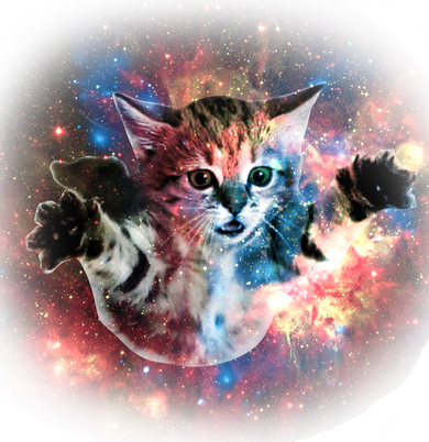 Funny Cat Floating In Space Long Sleeve Shirt