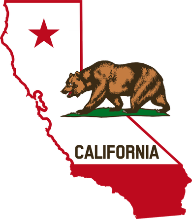 California State Bear Flag Toddler T-Shirt