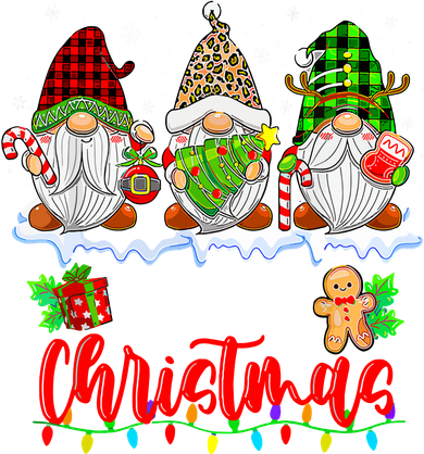 Cute Gnomes Light Family Gnome Xmas Matching Merry Christmas Gift Kids T-Shirt