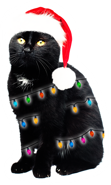 Christmas Cat Lights Yupoong Adult 5-Panel Trucker Hat
