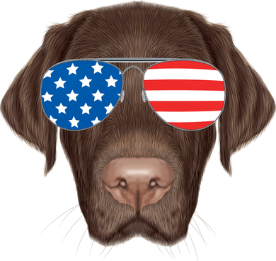 USA Chocolate Lab Dog Hoodie