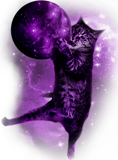 Cat World Galaxy Kids Hoodie