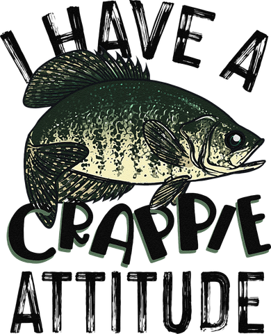 Cool I Have Crappie Attitude Gift Women Funny Fishing Kids Hoodie