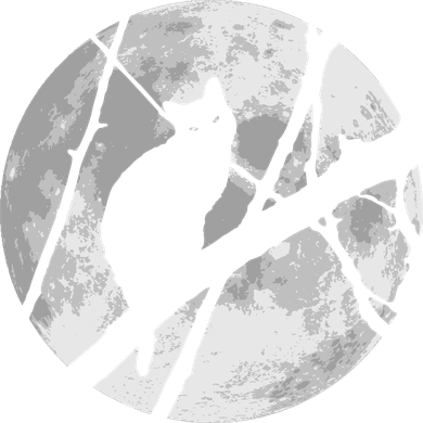 Cat To The Moon Women's Sweatshirt