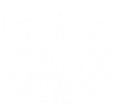 Vintage Circus Staff  Women's V-Neck T-Shirt
