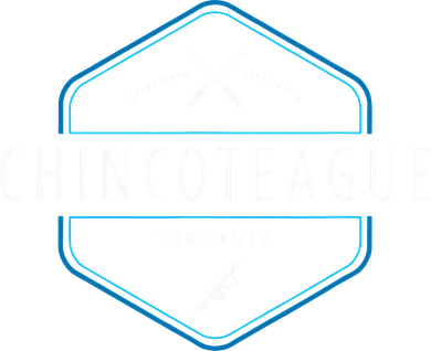 Chincoteague Island Virginia Beach Graphic Kids Hoodie