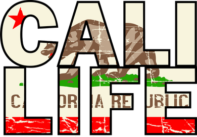 Cali Life Logo Flag Kids Hoodie