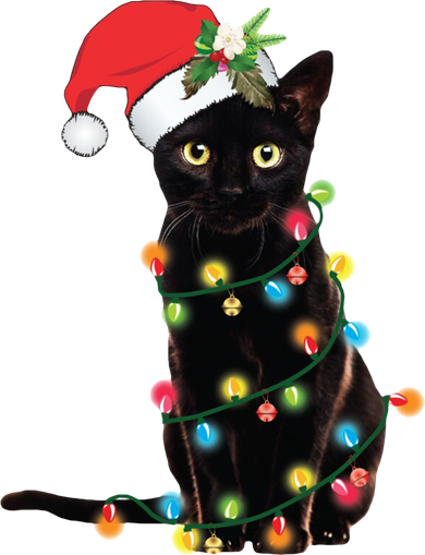 Christmas Lights Black Cat Santa Toddler Hoodie
