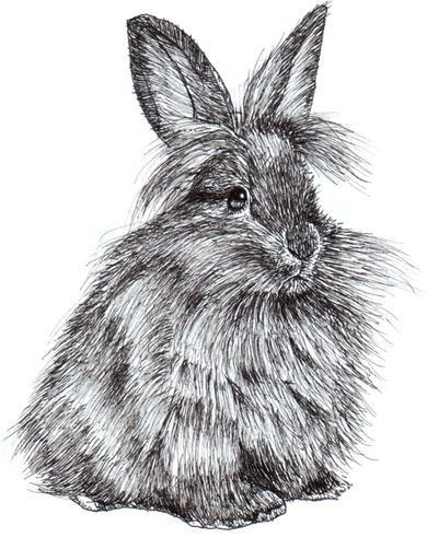 Cute Lionhead Bunny Rabbit Sketch Gift Bucket Hat