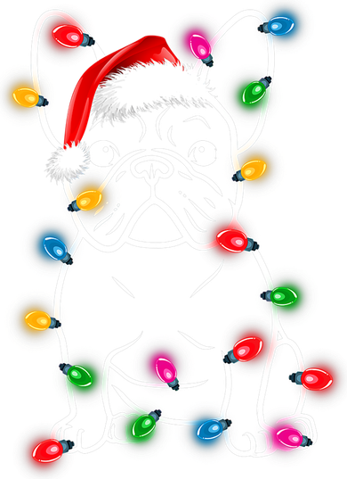 Christmas Lights Dog French Bulldog Doddie Hoodie