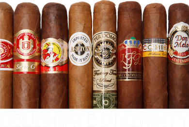 Celebrate Diversity Cigars Backpack