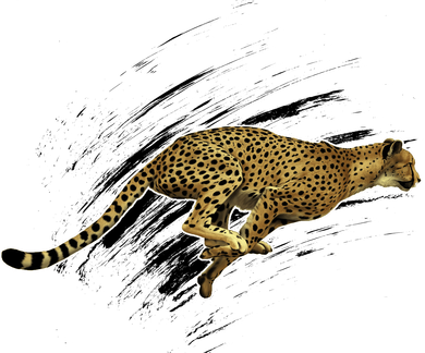 Cheetah Lover Gift Cool Cheetah Gift Women's T-Shirt