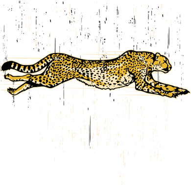 Cheetah Lover Gift Cool Cheetah Gift Hoodie