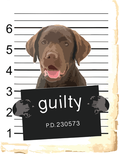 Chocolate Lab Labrador Dog Mug Shot Bad Dog Tote Bag