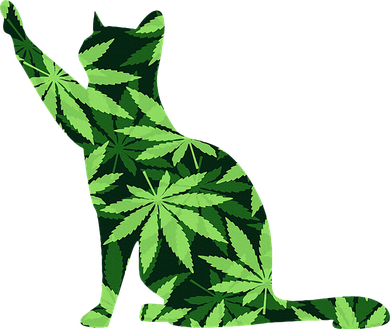 Cat Lover Marijuana Weed Smoker Funny Leaf Cannabis Women's Sweatshirt