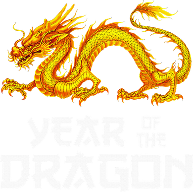 Chinese Lunar New Year 2024 Year Of The Dragon Women's Hoodie