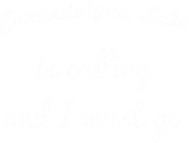 Canandaigua Lake New York Funny Fishing Camping Summer Gift Women's V-Neck T-Shirt