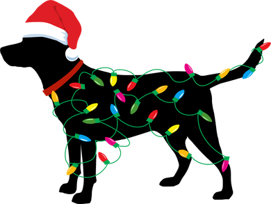 Christmas Labrador Retriever In Santa Hat Xmas Lights Funny Gift Kids Hoodie