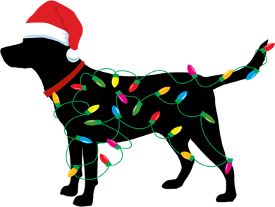 Christmas Labrador Retriever In Santa Hat Christmas Lights Holiday Dog Gift Sant Backpack