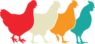 Chicken Lovers Retro Vintage Chicken Button