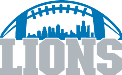 Cool Lions Sports Football With City Kids Hoodie