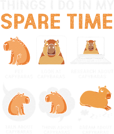 Capybara Lover Things I Do In My Spare Time Coaster