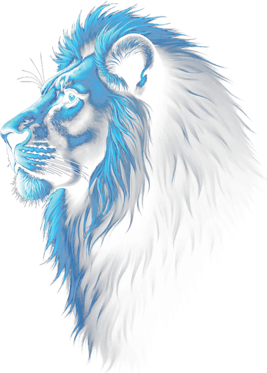 Cool Lion With Blue Eyes Lions Hoodie