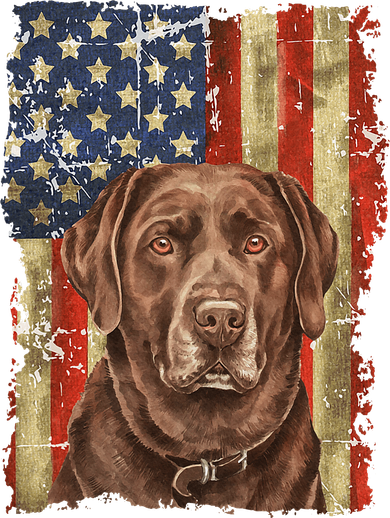 Chocolate Lab With USA Flag Gift  Tank Top