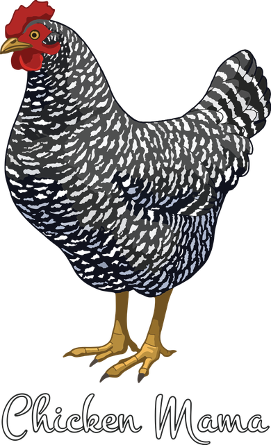 Chicken Mama Black Barred Plymouth Rock Hen Mom Bird Lovers Tumbler
