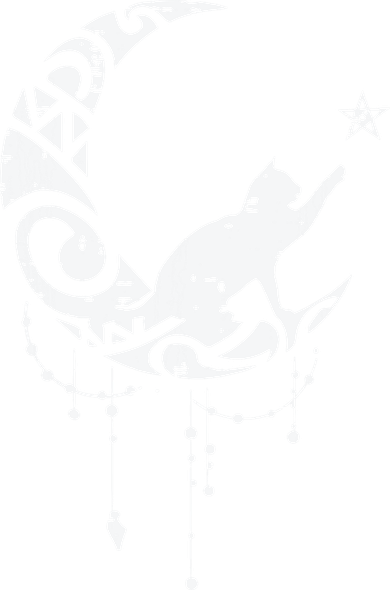 Crescent Moon Cat Star Mystical Celestial Women Girl Hoodie