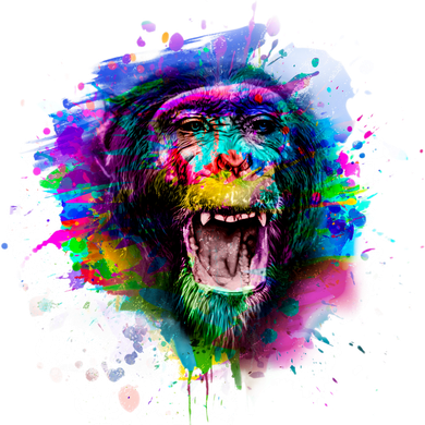 Colorful Monkey Kids Sweatshirt