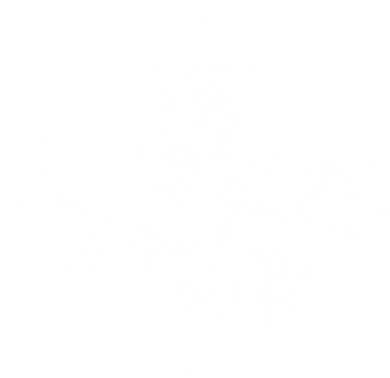 Canada Maple Leaf Flag Vintage Red White Canada Day Tank Top Doggie Tank