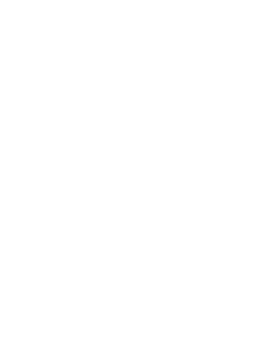 Partner And Crime Papa Women's V-Neck T-Shirt